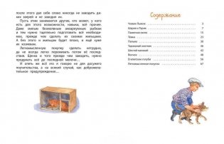 Чижик-Пыжик. Рассказы фото книги 7