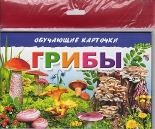 Карточки "Грибы" (в европакете) фото книги