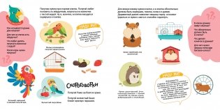 Домашние животные фото книги 4