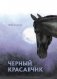 Черный красавчик фото книги маленькое 2