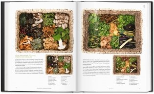 Modernist Cuisine at Home Spanish Edition фото книги 4