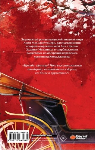 Аня из Зеленых Мезонинов фото книги 2