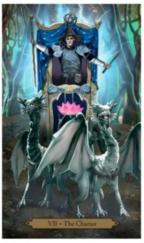 Wizards фото книги 5