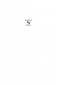 Виртуальный свет. Идору. Все вечеринки завтрашнего дня фото книги маленькое 3