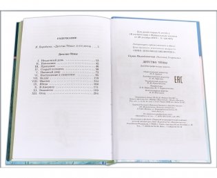 Детство Тёмы фото книги 5