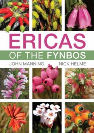 Ericas of the fynbos фото книги
