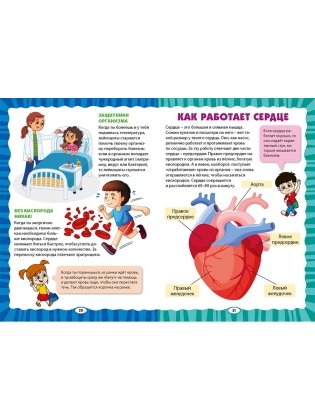 Как устроен человек. Первая энциклопедия для малышей фото книги 10