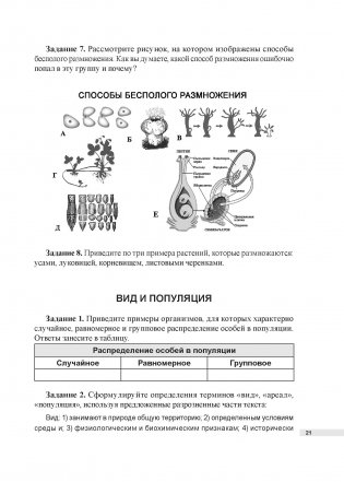 Биология. 10 класс. Дидактические и диагностические материалы фото книги 4