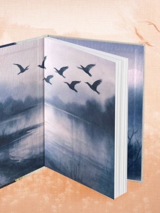 Дом на птичьем острове. Книга первая: Рожденная быть второй фото книги 9