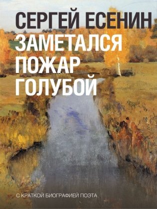 Заметался пожар голубой фото книги