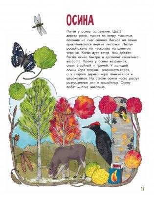 Деревья фото книги 8