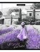 Комплект тетрадей "Контрасты-2", А5, 48 листов, клетка, 5 штук фото книги маленькое 2