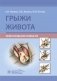 Грыжи живота фото книги маленькое 2