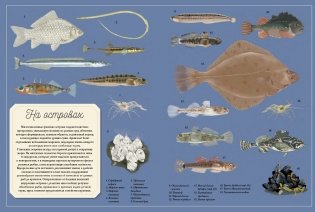 Муми-тролли на рыбалке фото книги 2