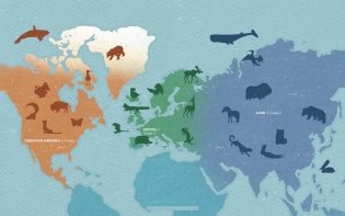 Животные Севера фото книги 4