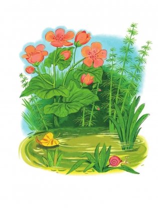 Все сказки К. Чуковского. Читают ребята из детского сада фото книги 5