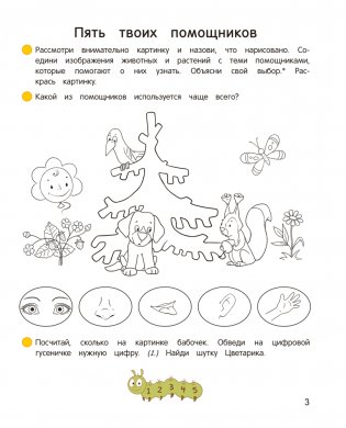 Умней-ка. 4—5 лет. Знакомство с природой фото книги 4