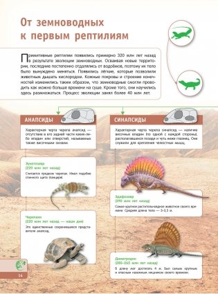 Тайны динозавров. Самая невероятная энциклопедия фото книги 15