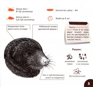 Подземные обитатели фото книги 6