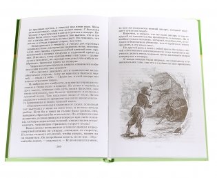 Даниэль Дефо Робинзон Крузо фото книги 4