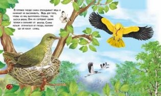 Как появляется птица фото книги 2