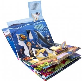 Живая планета. Моря и океаны. Книжка-панорамка фото книги 4