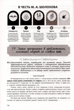 Русский язык. 8 класс. Практикум: пособие для учащихся (повышенный уровень) фото книги 7