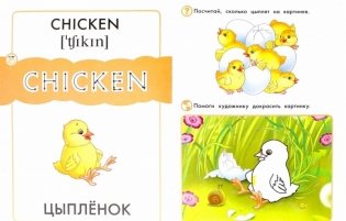 Развивашка. Птицы. Пособие для детей 3-6 лет фото книги 2
