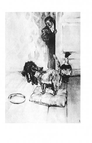 Каштанка. Рассказы (ил. М. Белоусовой, Д. Кардовского) фото книги 16