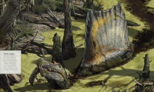 What`s Where on Earth? Dinosaur Atlas фото книги 7
