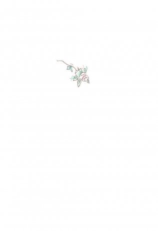 Поллианна фото книги 3