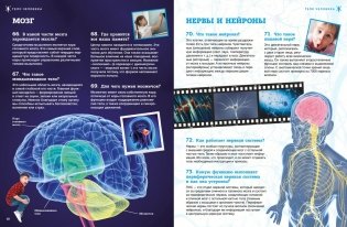 Тело человека фото книги 5