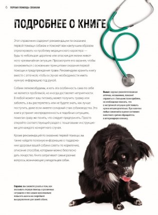 Первая помощь собакам. Осмотр, действия в экстренных ситуациях, аптечка первой помощи, социализация, дрессировка, груминг фото книги 4