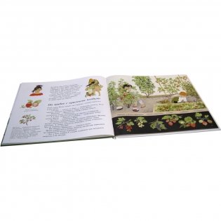 Как растут ягоды, орехи и фрукты фото книги 4