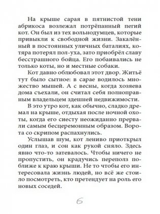 Кот на счастье фото книги 3