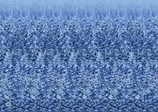 Альбом для тренировки зрения фото книги 2