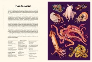 Океанариум фото книги 6