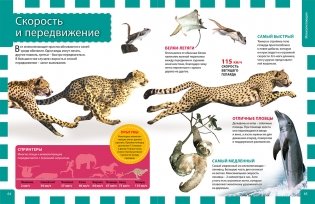 Лучшая энциклопедия для почемучек и любознашек фото книги 3