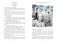 Приключения Васи Куролесова. Недопёсок (ил. Г. Калиновского, Ю. Коваля, Р. Варшамова) фото книги маленькое 9