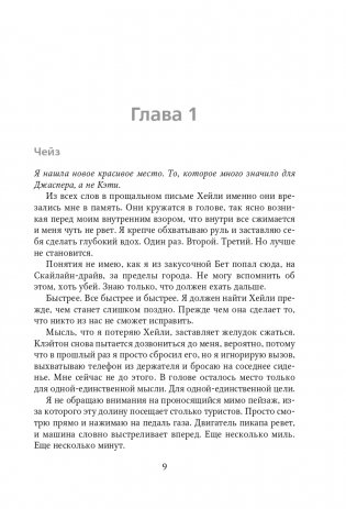 Взлетая высоко фото книги 10