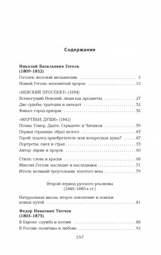 Русская литература для всех. От Гоголя до Чехова. Классное чтение! фото книги 2