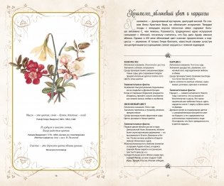 Тайный язык цветов фото книги 4
