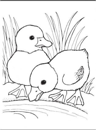 Большая книга раскрасок для самых маленьких фото книги 4