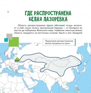 Птица года Беларуси. Белая лазоревка фото книги 5