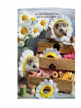 Блокнот для людей и ежей фото книги 2