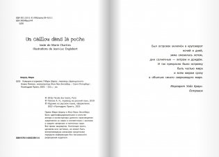 Камушек в кармане фото книги 4