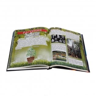 Гигантская детская энциклопедия фото книги 11