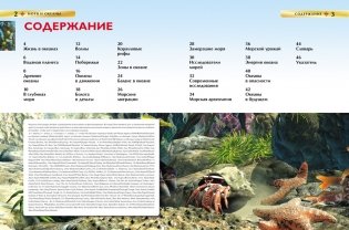 Моря и океаны. Детская энциклопедия фото книги 2