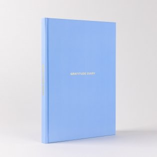 Ежедневники Веденеевой. Gratitude Diary. 1000 причин для счастья. Дневник благодарности фото книги 3