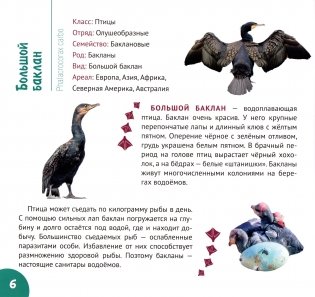 Реки и озёра Беларуси фото книги 7